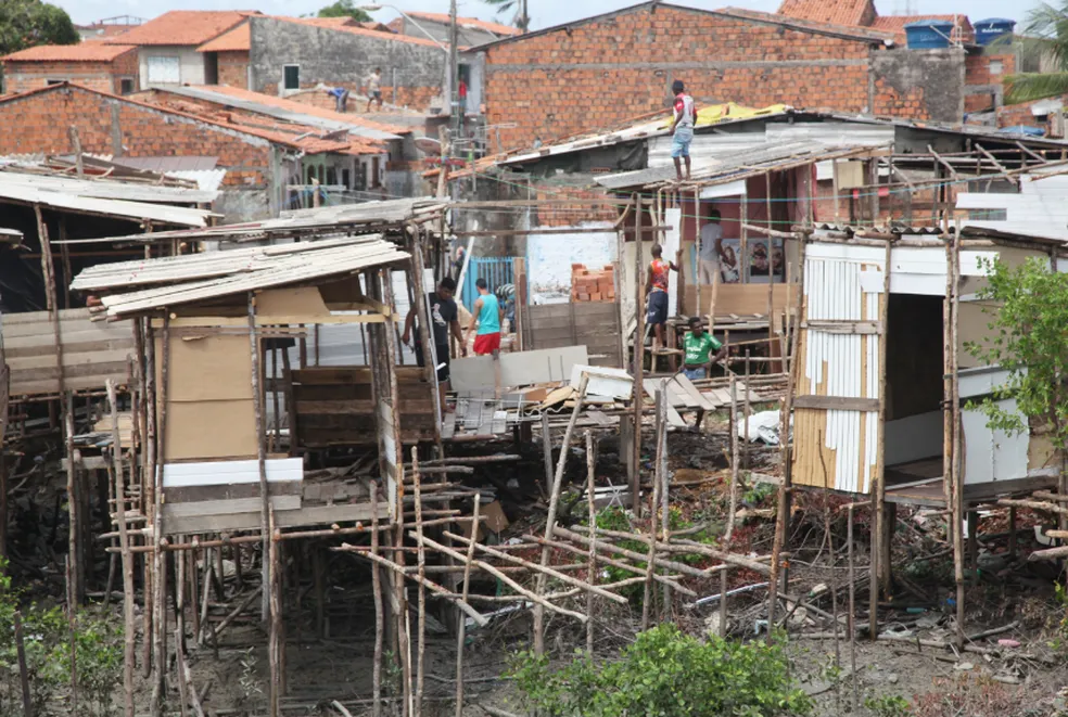 MPF obtém liminar para conter degradação de área de manguezal às margens da Via  Expressa - Notícias do Maranhão, do Brasil e do Mundo